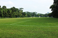 TENNIS COURTS