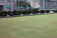 LAWN BOWLING GREEN